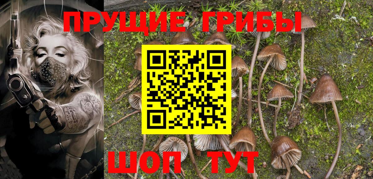Псилоцибиновые грибы MAGIC MUSHROOMS Саранск