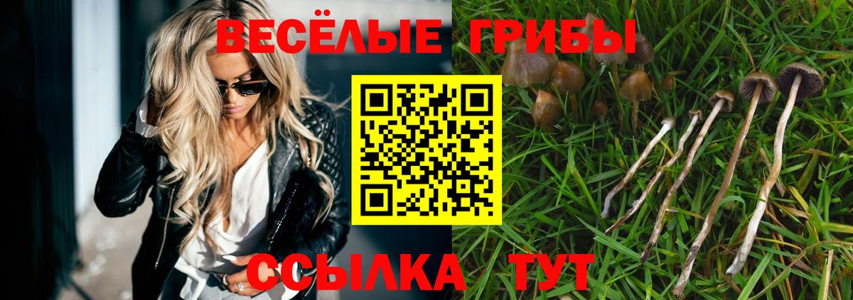 Саранск  Псилоцибиновые грибы Psilocybine cubensis  Вход с VPN 