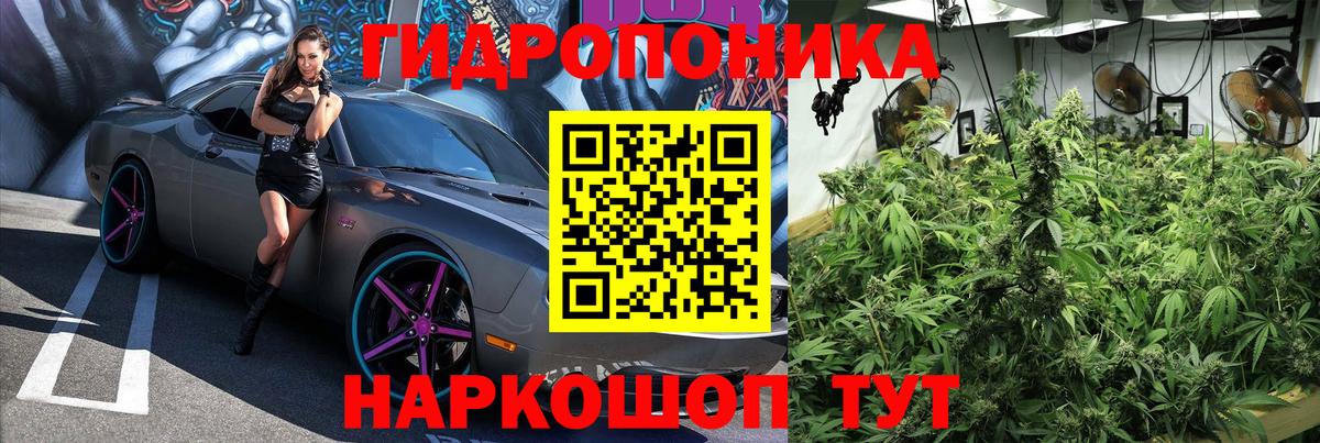 Конопля VHQ Саранск
